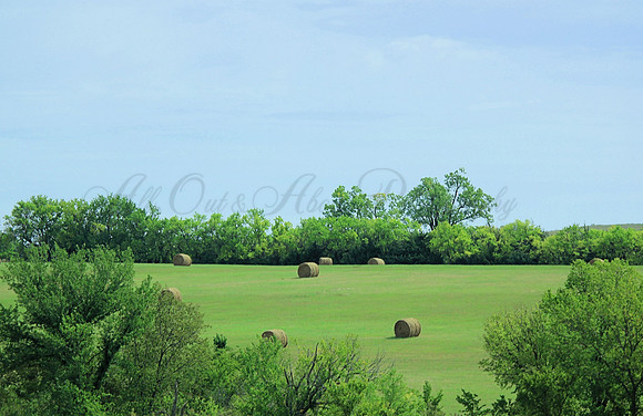 Kansas, round hay bales, Kansas summer, Kansas field